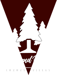 Beyond Pines