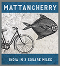 mattancherry2